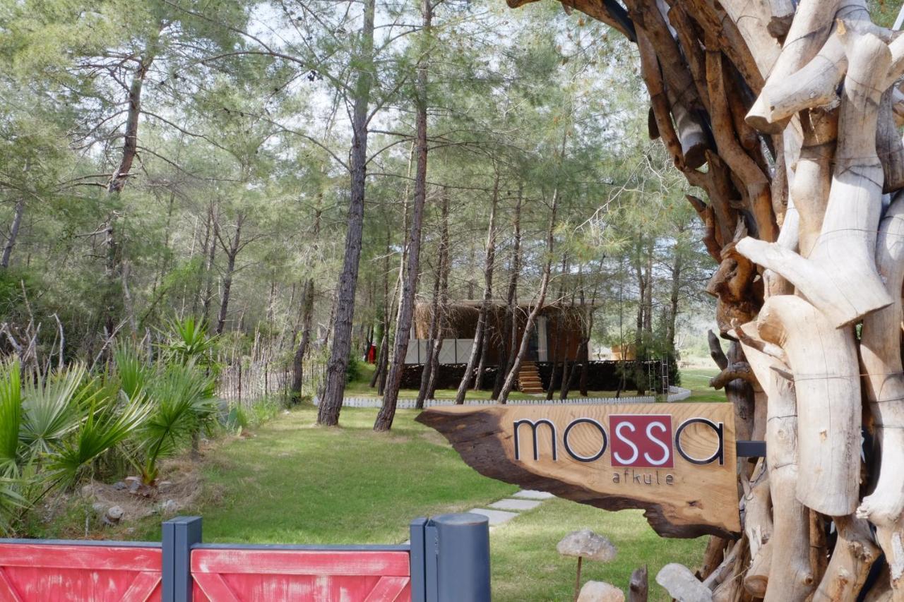 Hotel Mossa Afkule Kayakoey Fethiye